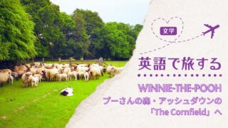 英語で旅する│プーさんの森アッシュダウンの「The Cornfield」へ