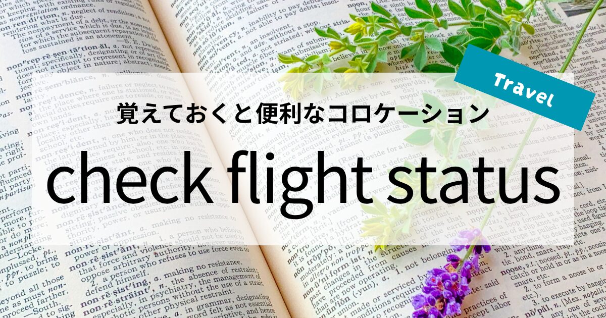 英会話【check flight status】の意味と使い方│覚えておくと便利なコロケーション
