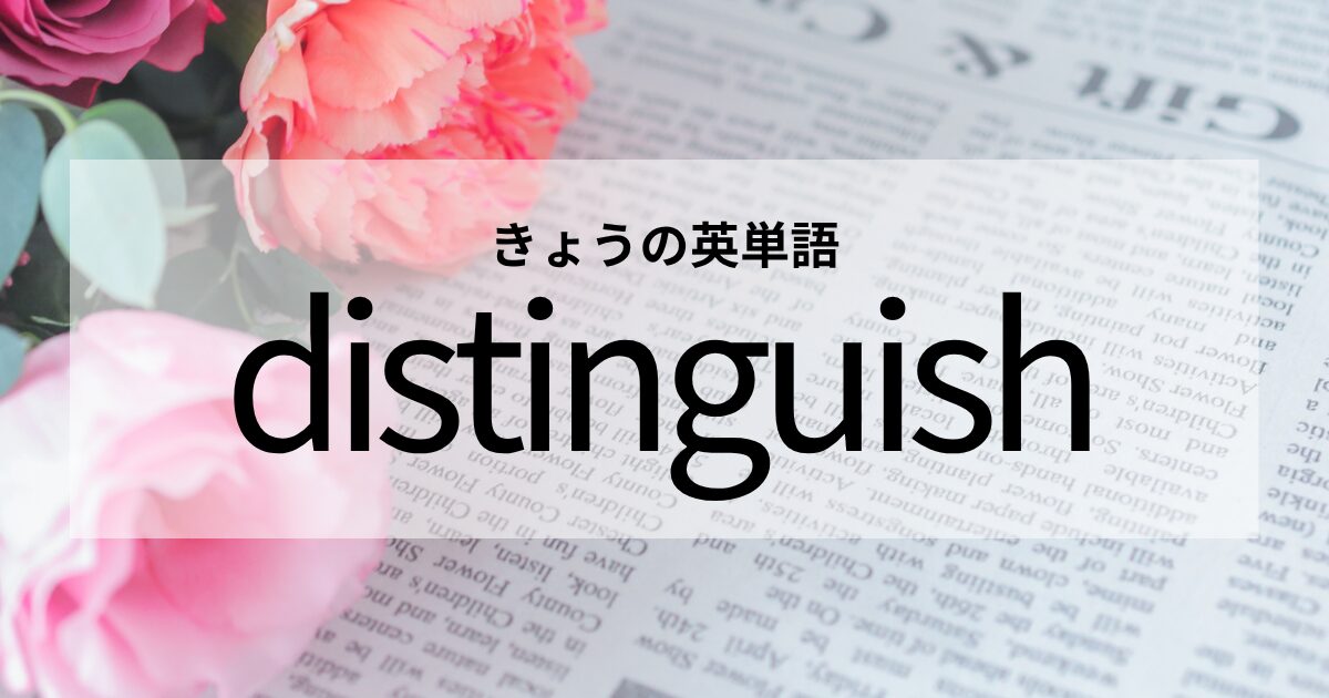 TOEIC【distinguish】の意味と使い方│これだけは覚えておきたい英単語
