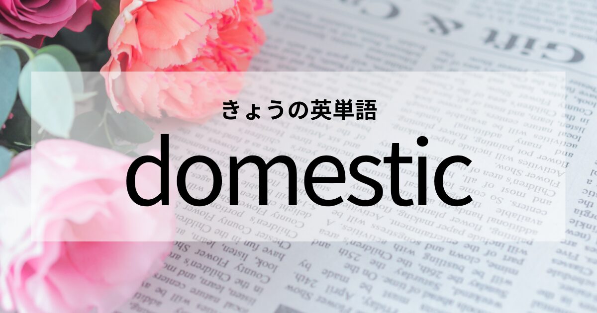TOEIC【domestic】の意味と使い方│これだけは覚えておきたい英単語