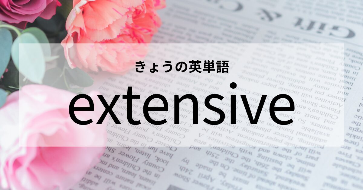 TOEIC【extensive】の意味と使い方│これだけは覚えておきたい英単語