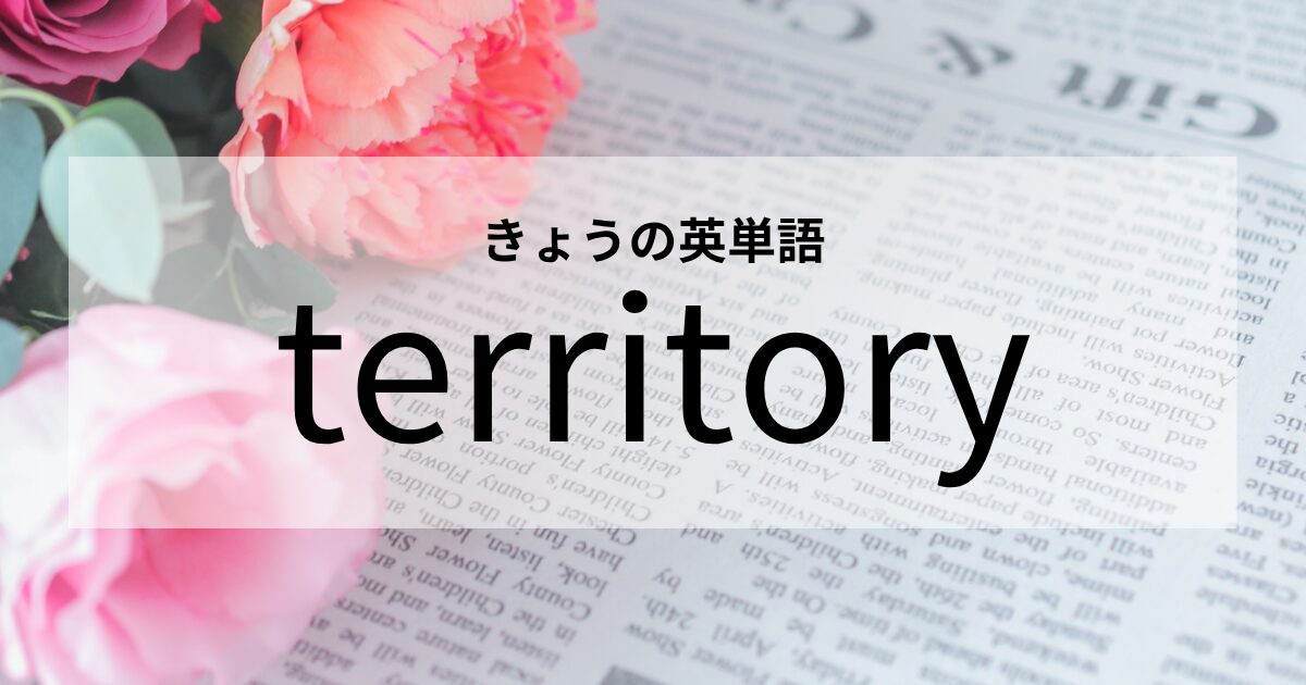 TOEIC【territory】の意味と使い方│これだけは覚えておきたい英単語