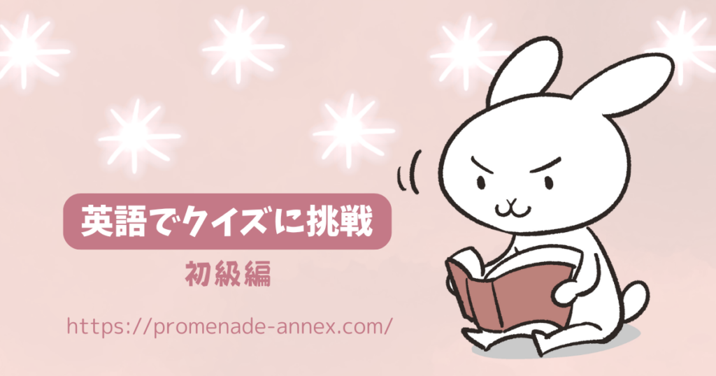 【初級】英語なぞなぞ：昼の空で光る黄色い丸は？｜全和訳・語彙・解き方つき