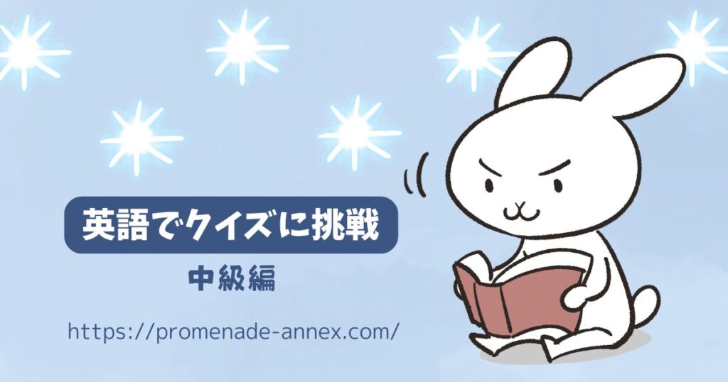 【中級】英語なぞなぞ：鍵はあるのに錠前がない？｜全和訳・語彙・解き方つき