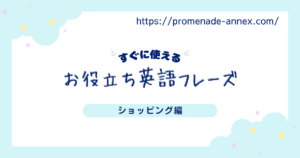 “That’s a bit out of my budget.”｜値段を角なく断る英語フレーズ